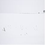 Thumbnail of 32