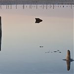 Thumbnail of 35